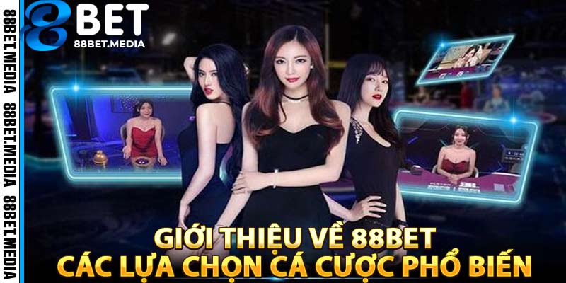 Gioi-thieu-ve-88BET-–-Cac-lua-chon-ca-cuoc-pho-bien